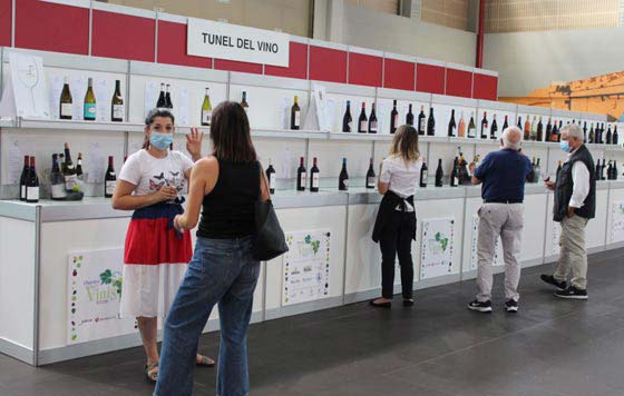 Tecnovino Expourense Vinis Terrae Túnel del Vino