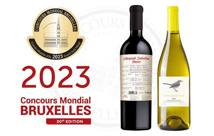 Tecnovino mejores vinos tintos blancos Concurso Mundial de Bruselas 2023 detalle