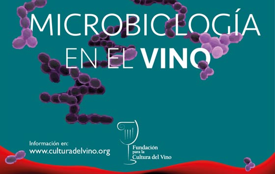 Tecnovino microbiología en el vino encuentro Fundación para la Cultura del Vino detalle