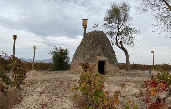 Tecnovino Cajas nido y hoteles de insectos en Familia Martínez Zabala