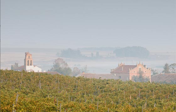 Tecnovino Caserío de Dueñas viñedo bodega