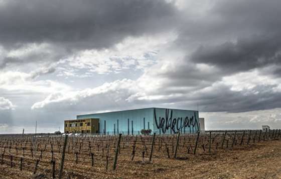 Tecnovino- Bodega Valdecuevas