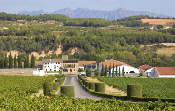 Tecnovino- bodega Segura Viudas