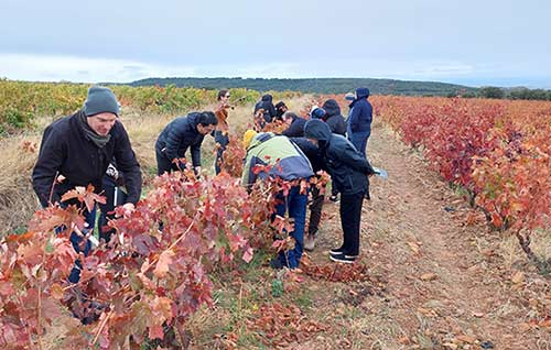 Tecnovino formador vinos de Rioja DOCa Rioja