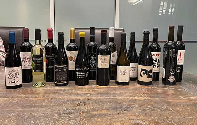 Tecnovino promoción vinos de Madrid en Austin detalle