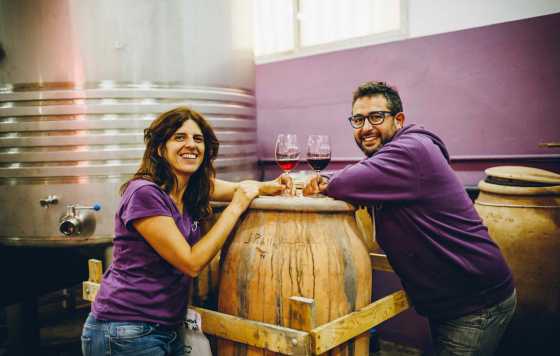 Tecnovino- Bodegas Gratias, viñedos