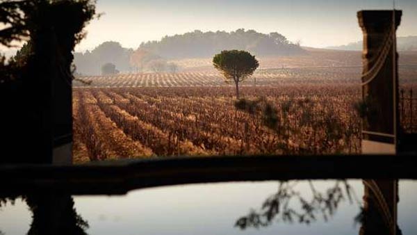 Tecnovino Chateau de Beaucastel mejores viñedos del mundo de 2023