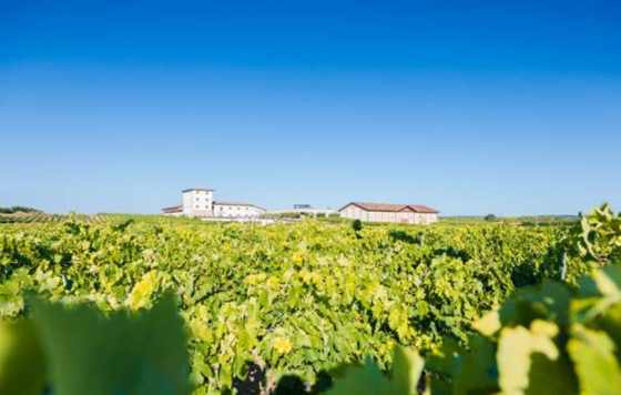 Tecnovino- Enoturismo en Bodegas Marco Real en Olite