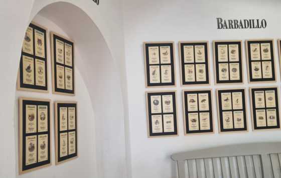 Tecnovino- Exposición de las 100 sacas de Manzanilla Solear Pasada en Rama en Bodegas Barbadillo