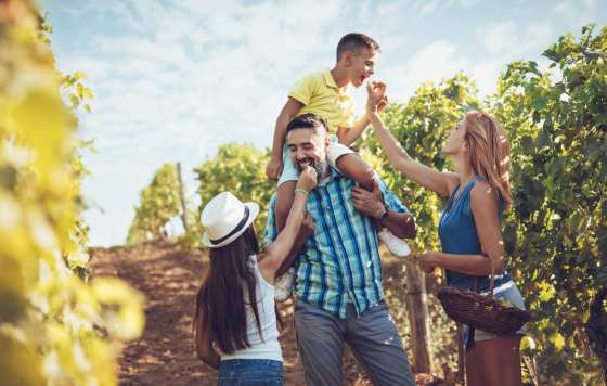 Tecnovino- Asociación de Productores de Cava, AECAVA, la vendimia del cava 2023