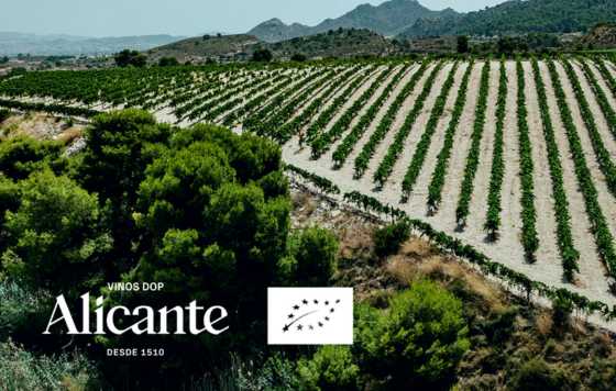 Tecnovino- Vinos Ecológicos DOP Alicante