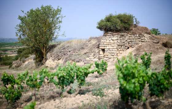 Tecnovino- Bodegas Murua restaura un antiguo chozo del siglo XIX en su finca Vallobera