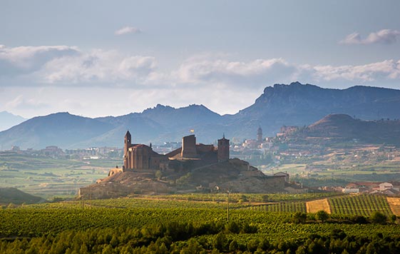 Tecnovino Conferencia Mundial de Enoturismo OMT San Vicente de la Sonsierra La Rioja