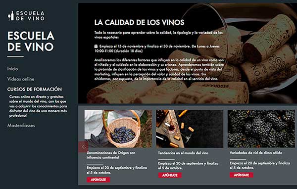 Tecnovino Escuela de Vino Oive web