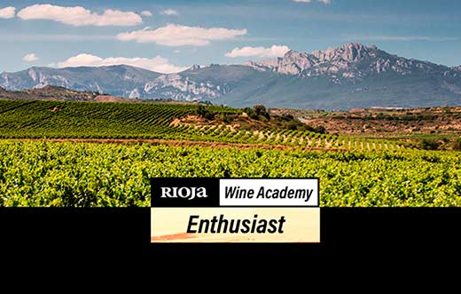 Tecnovino curso conocimientos sobre vino Enthusiast Rioja