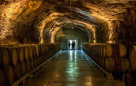 Tecnovino Best Of Wine Tourism Bilbao-Rioja 2024 Asociación Barrio de la Estación calado