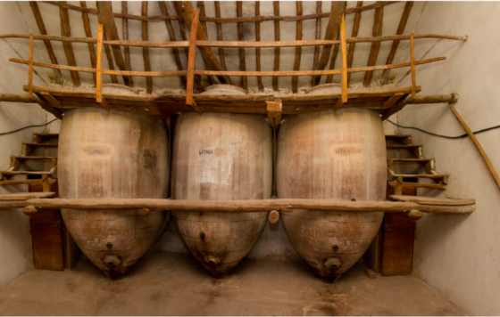 Tecnovino-Tinajas de Barro El emblema de Bodegas Cano