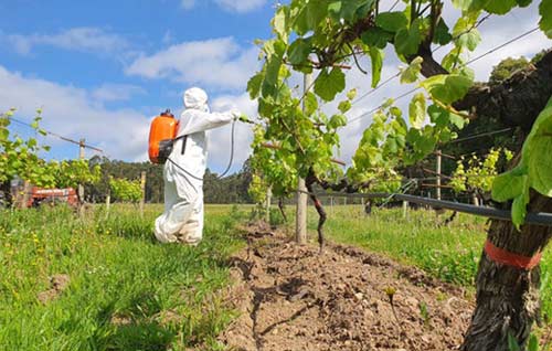 Tecnovino pesticidas en vinedos proyecto Novaterra Feuga y PTV