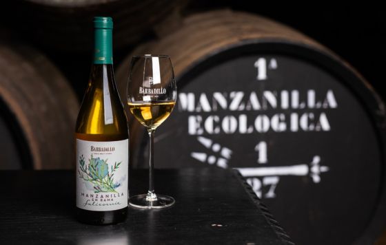 Tecnovino- Barbadillo cielo, mar y tierra. Manzanilla en Rama Salicornia