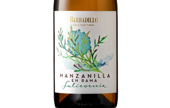 Tecnovino- Barbadillo cielo, mar y tierra. Manzanilla en Rama Salicornia