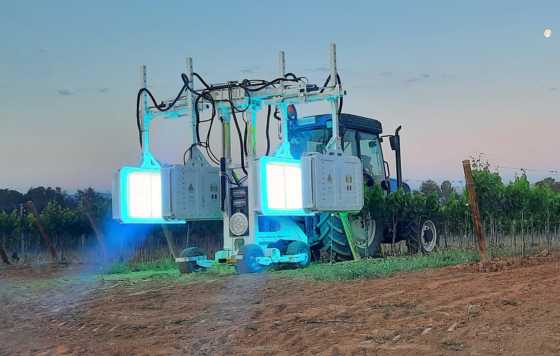 Tecnovino- Familia Torres y Jean Leon, ensayos con luz ultravioleta defensas naturales de las cepas