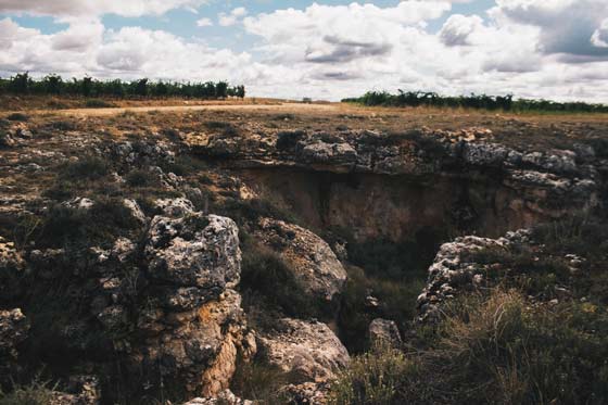 Tecnovino Finca El Rincon de Clunia entorno