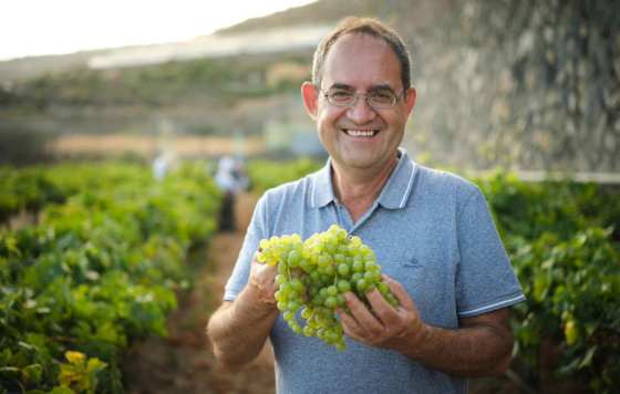 Presidente DOP Islas Canarias - Canary Wine: Juan Jesús Méndez Siverio