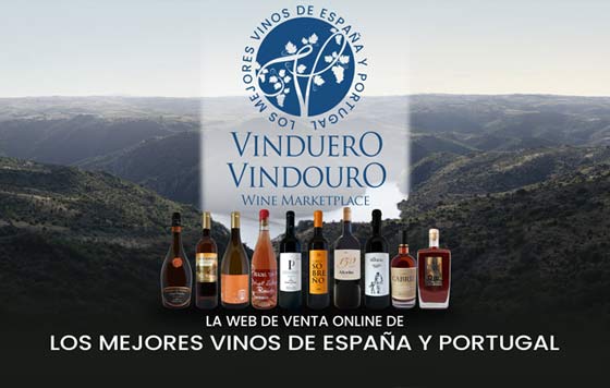 Tecnovino marketplace VinDuero-VinDouro