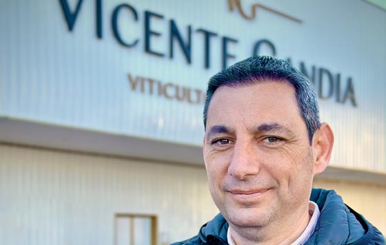 Tecnovino - Diego Morcillo nuevo director técnico de Bodegas Vicente Gandía