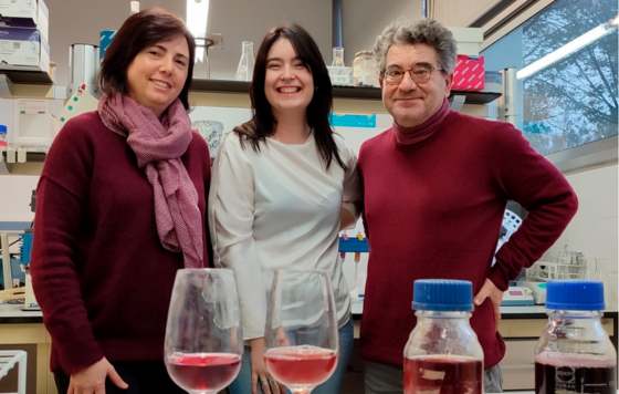 Tecnovino- levadura poco convencional aumenta la calidad de los vinos de maceración carbónica, los rosados y los brisados