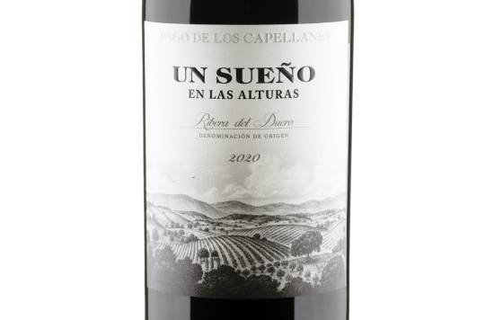 Tecnovino- vino tempranillo Ribera del Duero, Un sueño en las alturas de Pago de los Capellanes