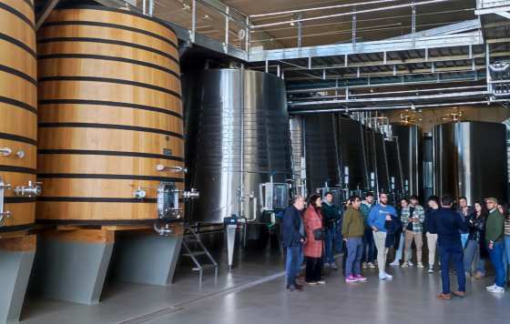 Tecnovino- Bodegas Beronia