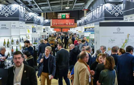 Tecnovino- Wine Paris & Vinexpo Paris 2024, feria de vino internacional