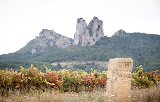 Tecnovino- bodega C.V.N.E. Miembro de Oro de la International Wineries for Climate Action (IWCA)