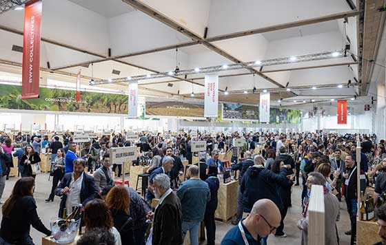 Tecnovino feria Barcelona Wine Week 2024 exposición 2