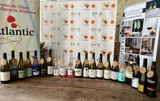 Tecnovino- Concurso de vinos de influencia atlántica, mejores vinos atlánticos de 2024,