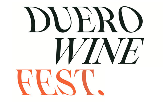 Tecnovino Duero International Wine Fest logo