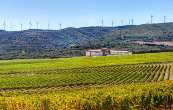 Tecnovino- El Coto de Rioja viticultor de Doca Rioja, sello sostenible SWfCP