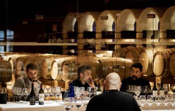 Tecnovino- Rioja Camp, programa formativo en vino de Rioja Wine Academy