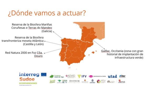 Tecnovino- proyecto internacional, ECOSPHEREWINES,  mejora del entorno natural del viñedo