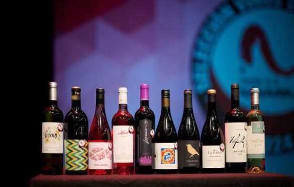 Tecnovino vinos representantes DO Navarra 2024