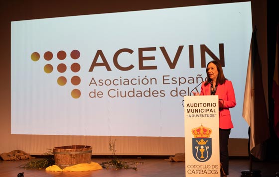 Tecnovino Cambados Ciudad Española del Vino 2024 Rosa Melchor presidenta de ACEVIN