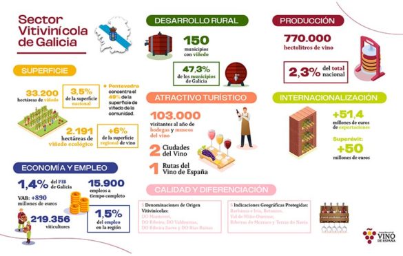 Tecnovino - infografía sector vitivinícola en Galicia OIVE