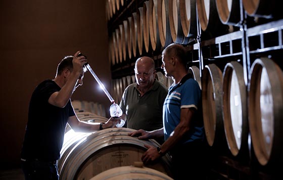 Tecnovino Bodegas Dominio de Berzal familia detalle