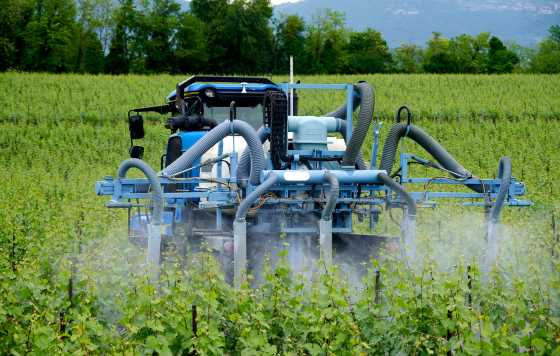 Tecnovino- GrapeBreed4IPM, reducir el uso de plaguicidas en la viticultura