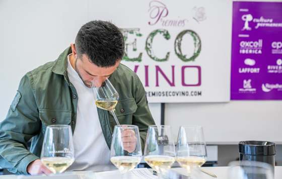 Tecnovino- Los diez Grandes Oros, premios Econovino, premios de vinos ecológicos