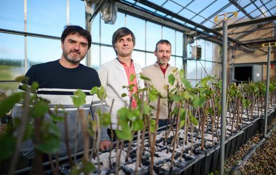 Tecnovino- proyecto “Viticultura resiliente en el territorio POCTEFA” (VITRES), viñedos sostenibles ambiental y económicamente