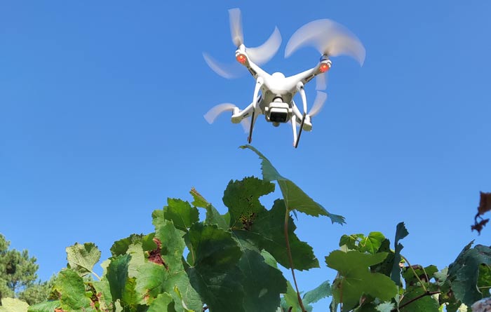 Tecnovino