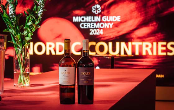 Tecnovino vinos Izadi Bodegas Izadi gala Michelin Helsinki
