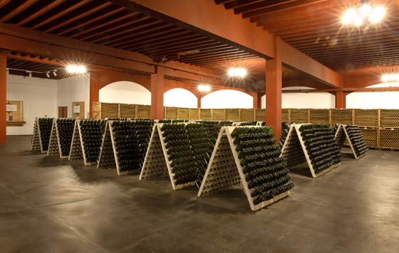 Tenovino- botellas en rima en Bodegas Ondarre, Elaborador Integral DO Cava